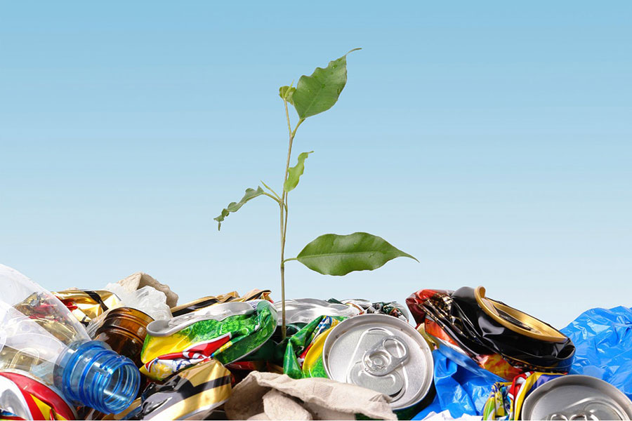 Опасные отходы принесут доходы: готов бизнес план переработки тары из-под химикатов